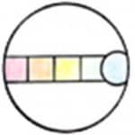 The Infinite Games: Generative Capacity Building - The Rainbow Lens