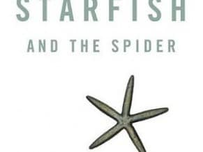 The Starfish and the Spider - The Unstoppable Power of Leadership Organizations by Ori Brafman and Rod A. Beckstrom