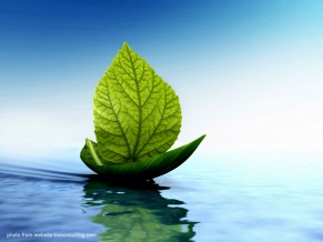 Transition Initiatives: Engaged community building to combat climate change