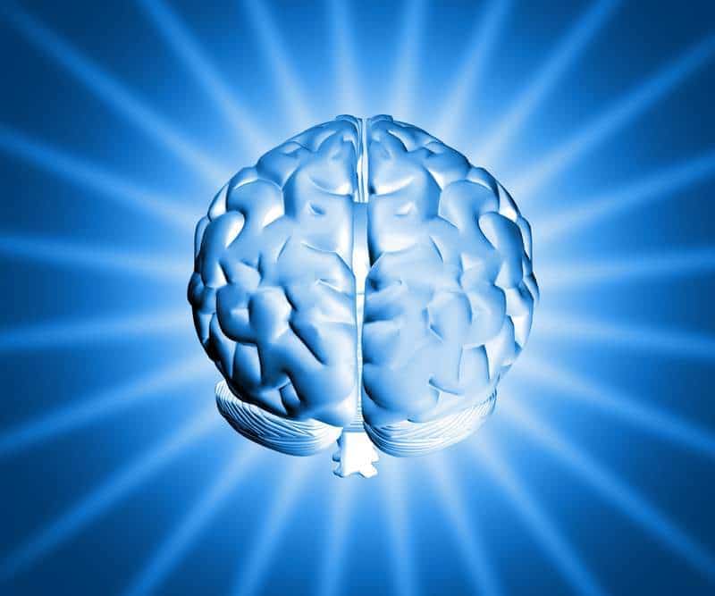 Stimulated senses cause an excited mind