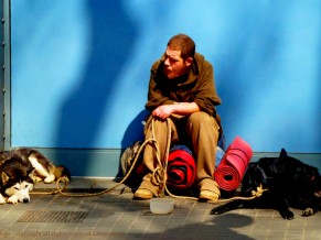 The Caring Continuum: beggar with two dogs on the street