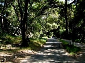 Regular Reminder: Deer Park monastry