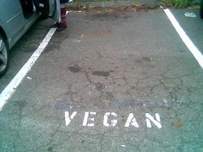 being-vegan-personal-essay