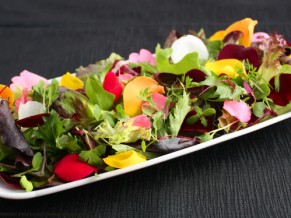 Edible Flowers: Health from the garden to your plate