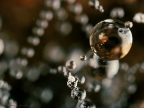 Finding truth: Personal truth vs. collective truth vs. the truth - image spider web with dew drops