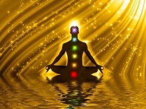 Meditator - Acceptance in meditation