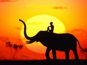 How to write about Africa: an essay by Binyavanga Wainaina - man on elephant's back at sunset