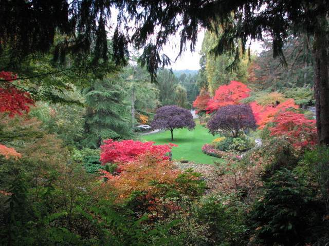 Seeing a flower garden as a blessing