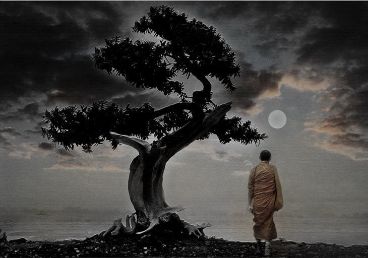 monk walking meditation under tree
