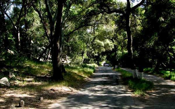 Regular Reminder: Deer Park monastry