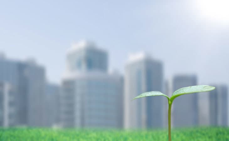 Sprout and cityscape