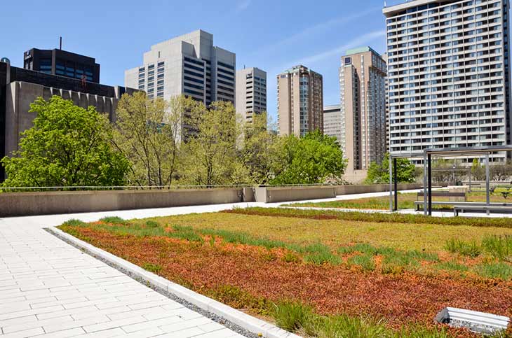 GREEN ROOF MAINTENANCE: How to extend the life of your green roof 13 green roofs in city