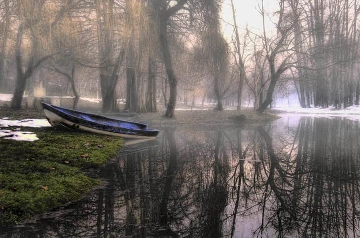 nature-cues-peaceful-fog-relationships