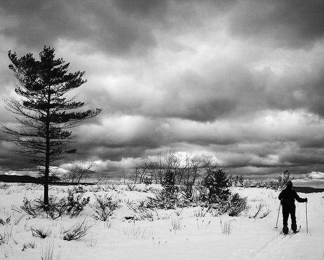 POEM BY CRAIG A. HART: The Michigan Winter 42 POEM BY CRAIG A. HART: The Michigan Winter