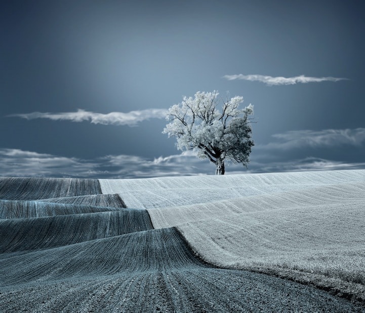 LIKE I WANT IT TO BE: An interview with photographer Caras Ionut