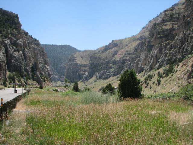 Rocky Mountain foothills