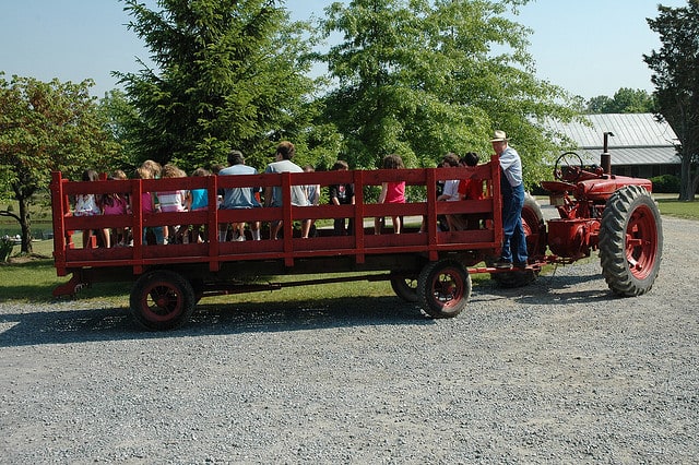 166080970 1bc6634871 z