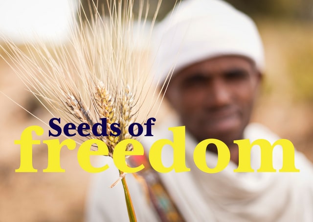 SEEDS OF FREEDOM: Securing our food sovereignty [Documentary]