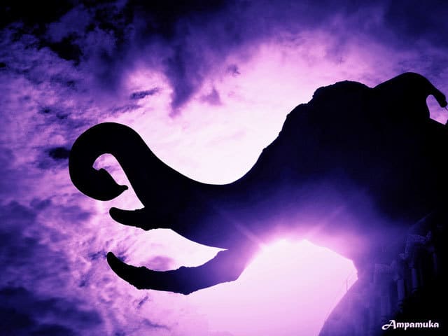 Reincarnation - white light