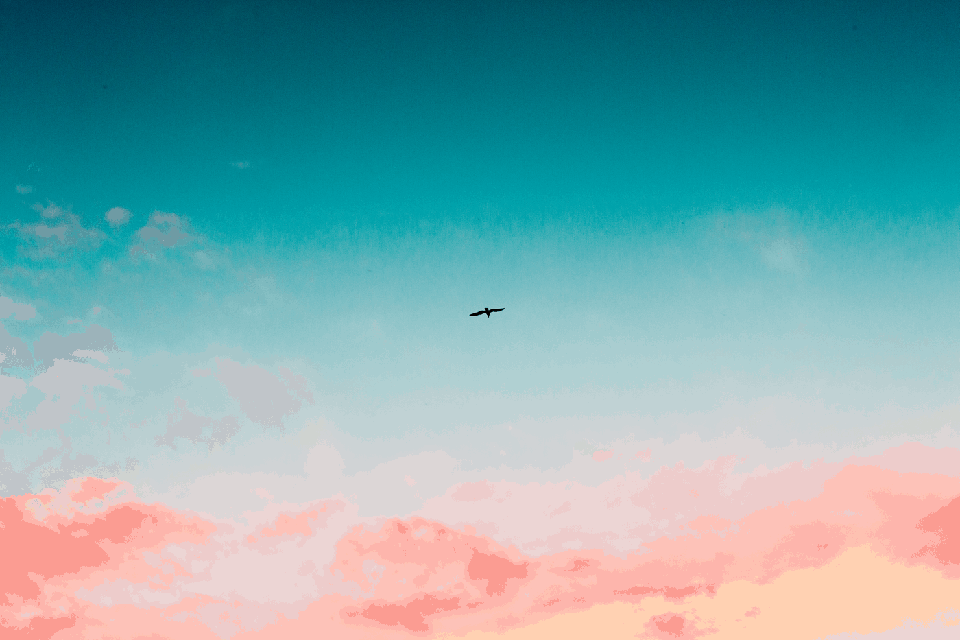 sky - live love laugh