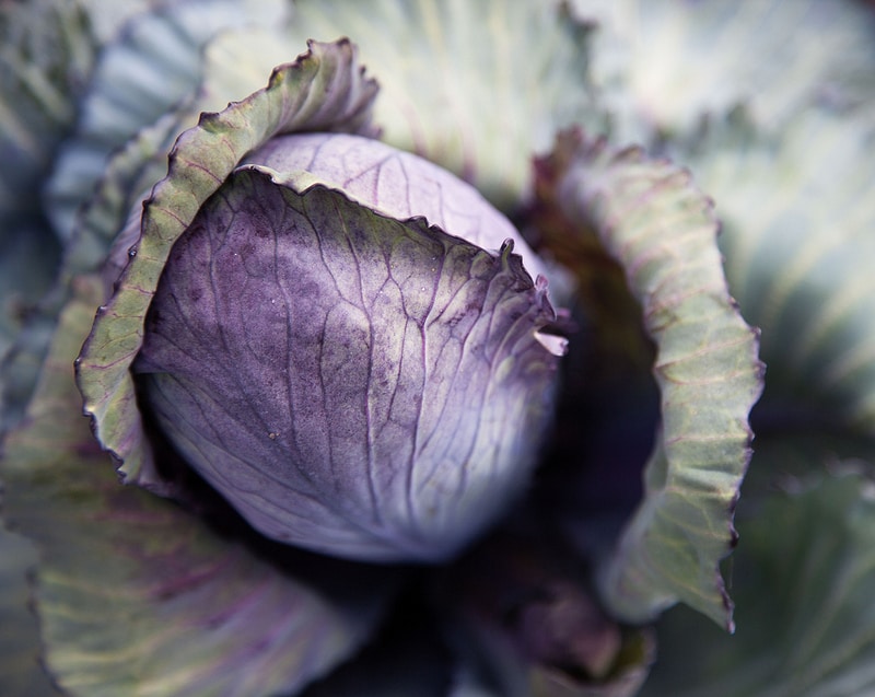 6939155158 84a78f2350 c