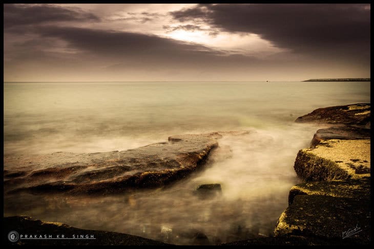 AMAZING ALGAE: Spirulina—concentrated nutrition in every gram 13 Beach with algae