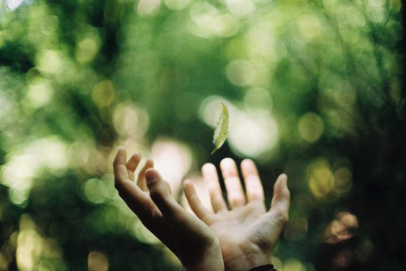 Open hands - Poems by Max Reif