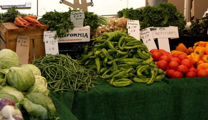 Organic produce - Video review of Edible City