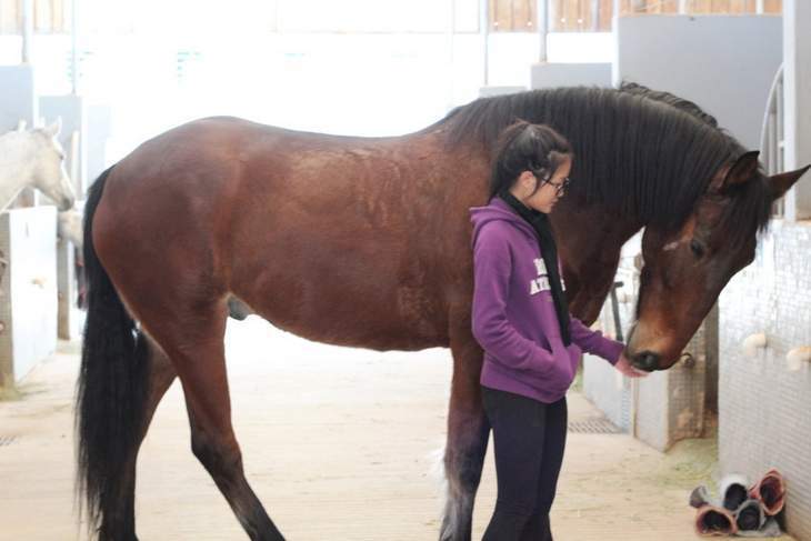 Horse and girl - Book review Emma Speaks