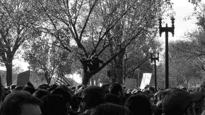 rally - social justice days