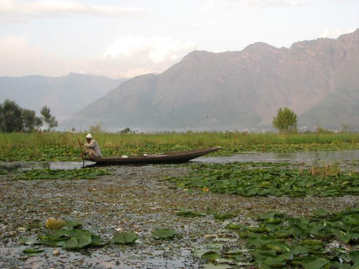 Paddling along Dal Lake, Srinigar, India
