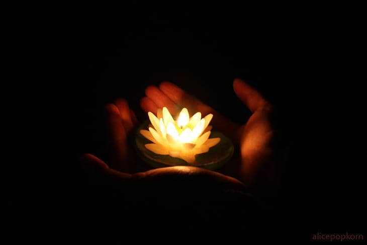 Hands holding lit-up lotus - The Mystery of Authenticity