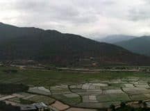Paro Valley