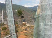 Field of prayer flags