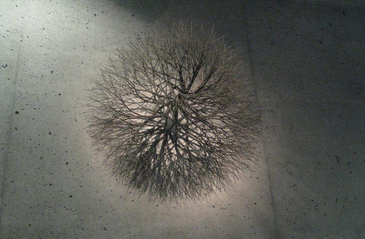 Tumbleweed - Alternating Current story