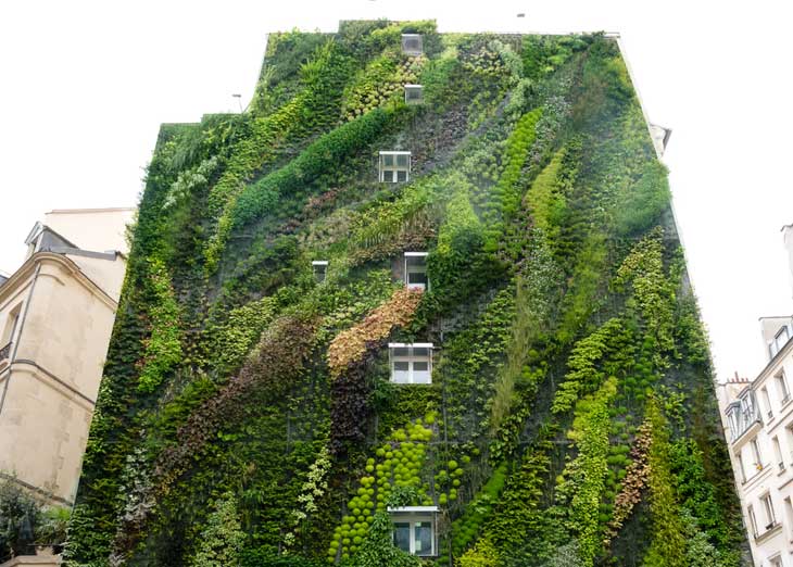 VERTICAL VEGETATION: Green walls create a breathing garden of life in the city 13 green walls