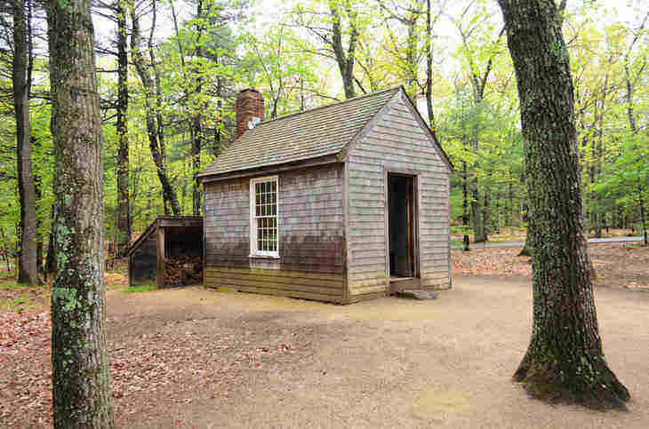 THANKS, THOREAU: For teaching us all about ethical engagement 31 replica of thoreau's cabin in woods - thanks, thoreau