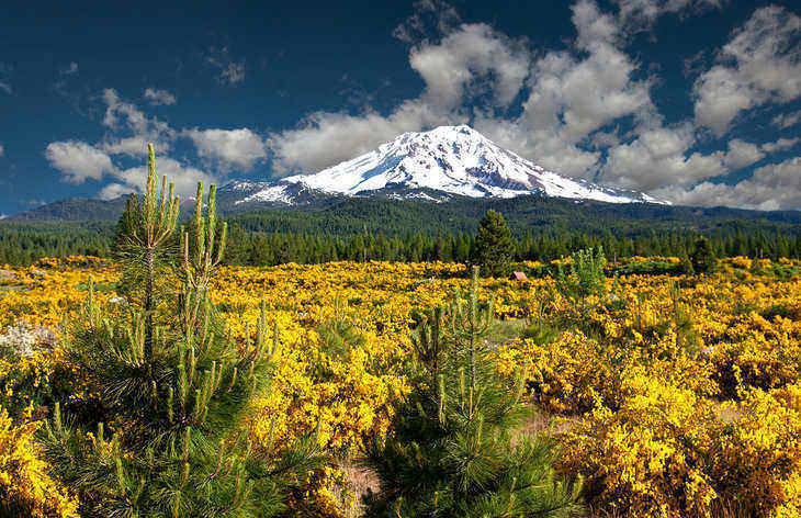 Mount Shasta - Transformative trip to Mount Shasta