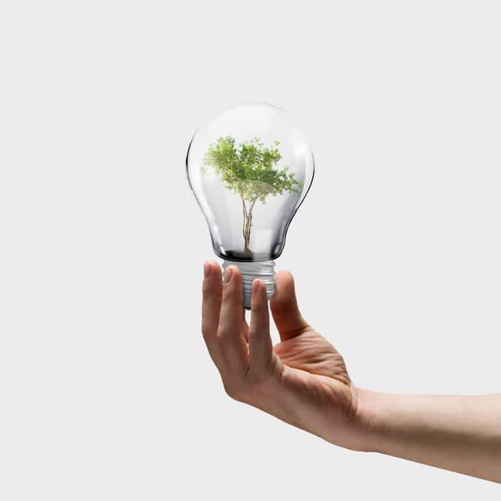 MULTIPURPOSING: 5 items you can use for a variety of purposes 24 hand holding lightbulb with tree inside - turn the products you have into other things