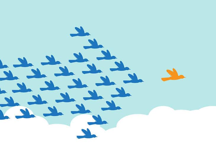 Birds flying in formation