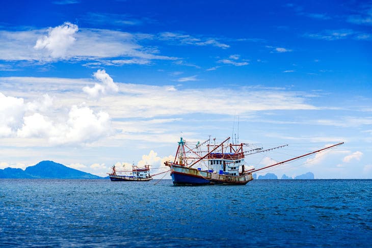 THE SEAFOOD CHAIN: Is sustainability the next stage of gastronomy? 13 Fishermen in Thailand on Andaman sea