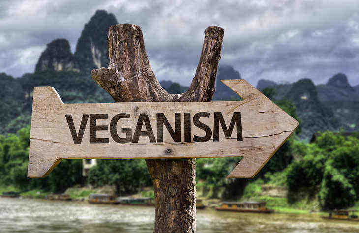 YES, I’M VEGAN: But I’m not having a worse time than you 20 veganism sign on tree - i'm vegan, but i'm not having a worse time than you