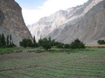 farm field turtuk