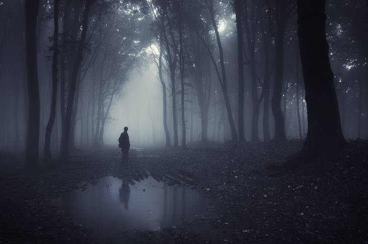 Man in shadowy wet wood - Poems by Ryan Warren
