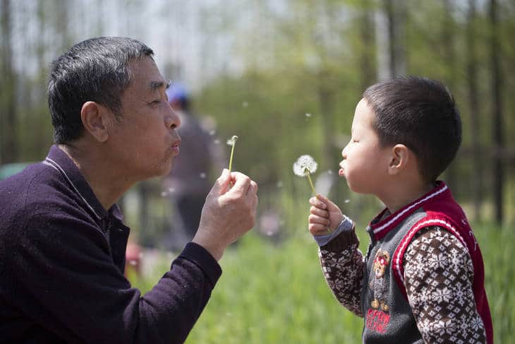 Grandfather and grandson blowing on dandelions - Impermanence fiction story
