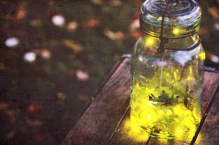 Fireflies in a jar - Poems by Mary Allison Cates