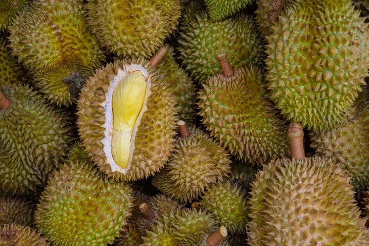 Controversial fruit - Durian