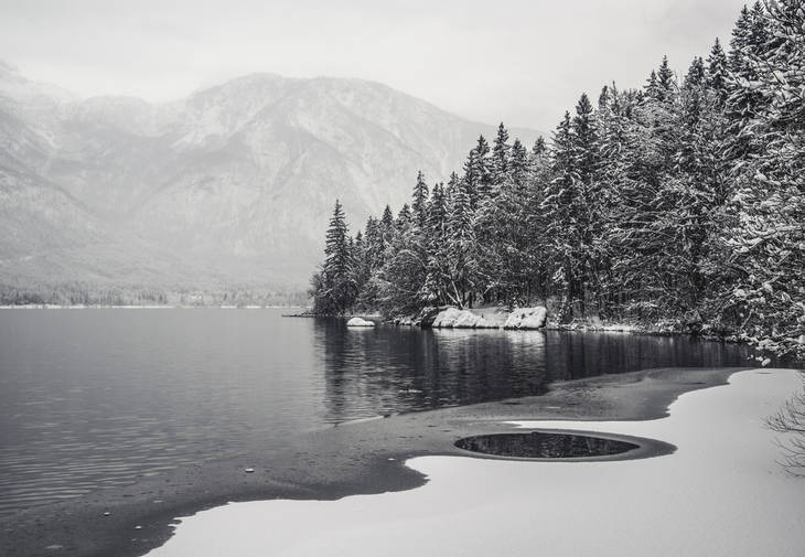 Lake and trees in greyscale - Poems by Matti Salminen