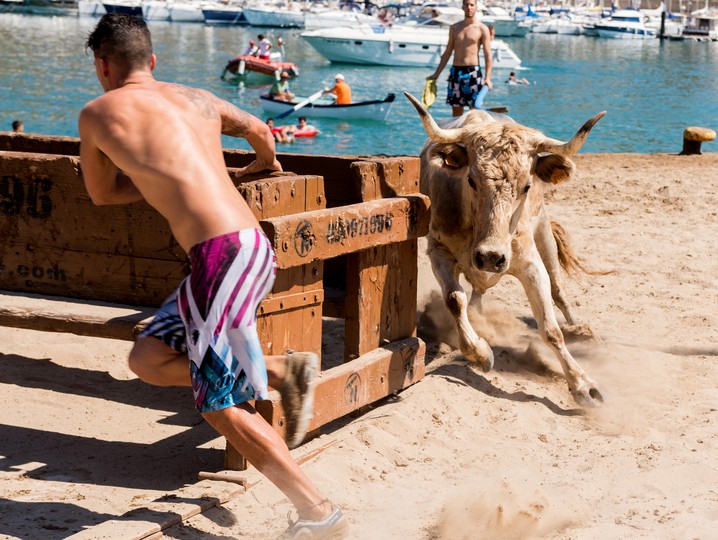 Heifer chasing young man on a beach in Spain