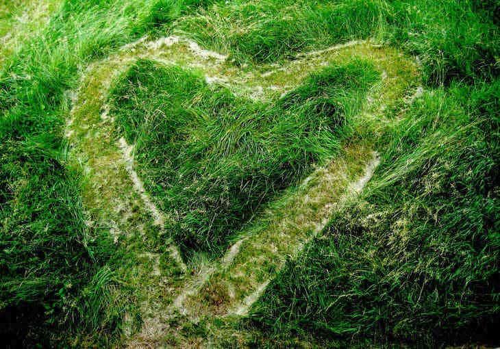Heart drawn in grass - Poems and illustrations by Leah Pearlman